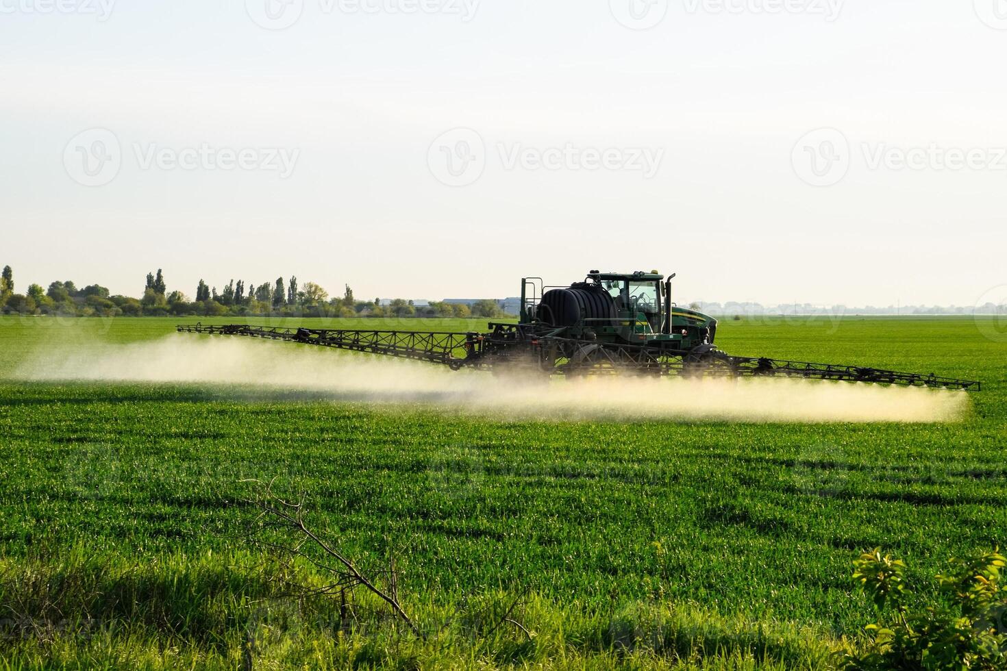 tracteur avec le Aidez-moi de une pulvérisateur Vaporisateurs liquide les engrais sur Jeune blé dans le champ. photo