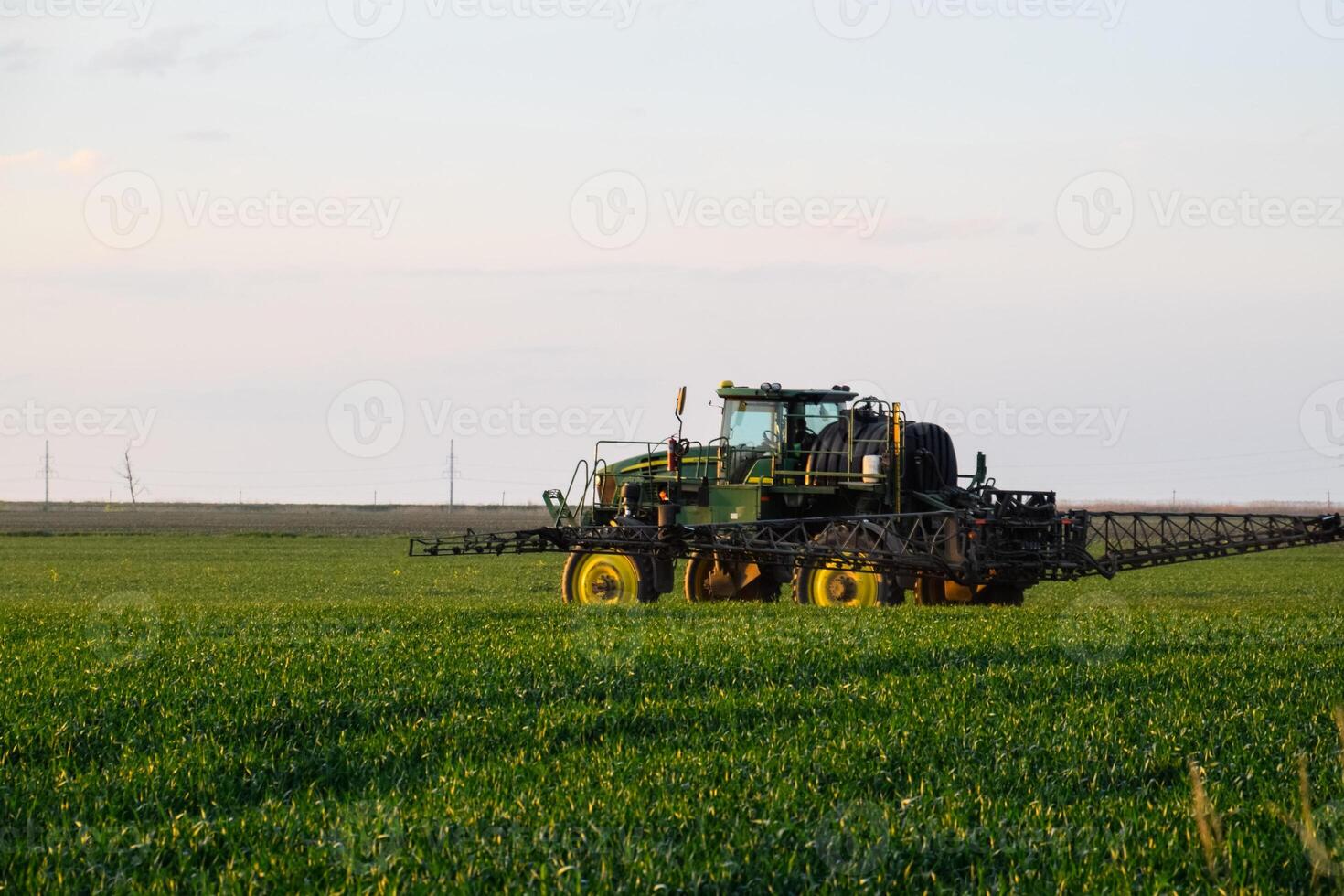 tracteur avec le Aidez-moi de une pulvérisateur Vaporisateurs liquide les engrais sur Jeune blé dans le champ. photo