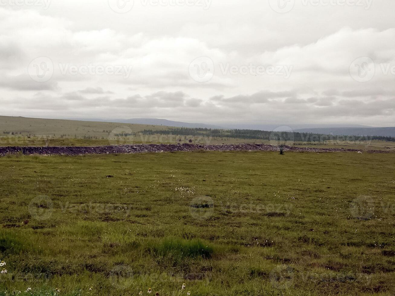paysage de le toundra dans été. été toundra sur le yamal pe photo