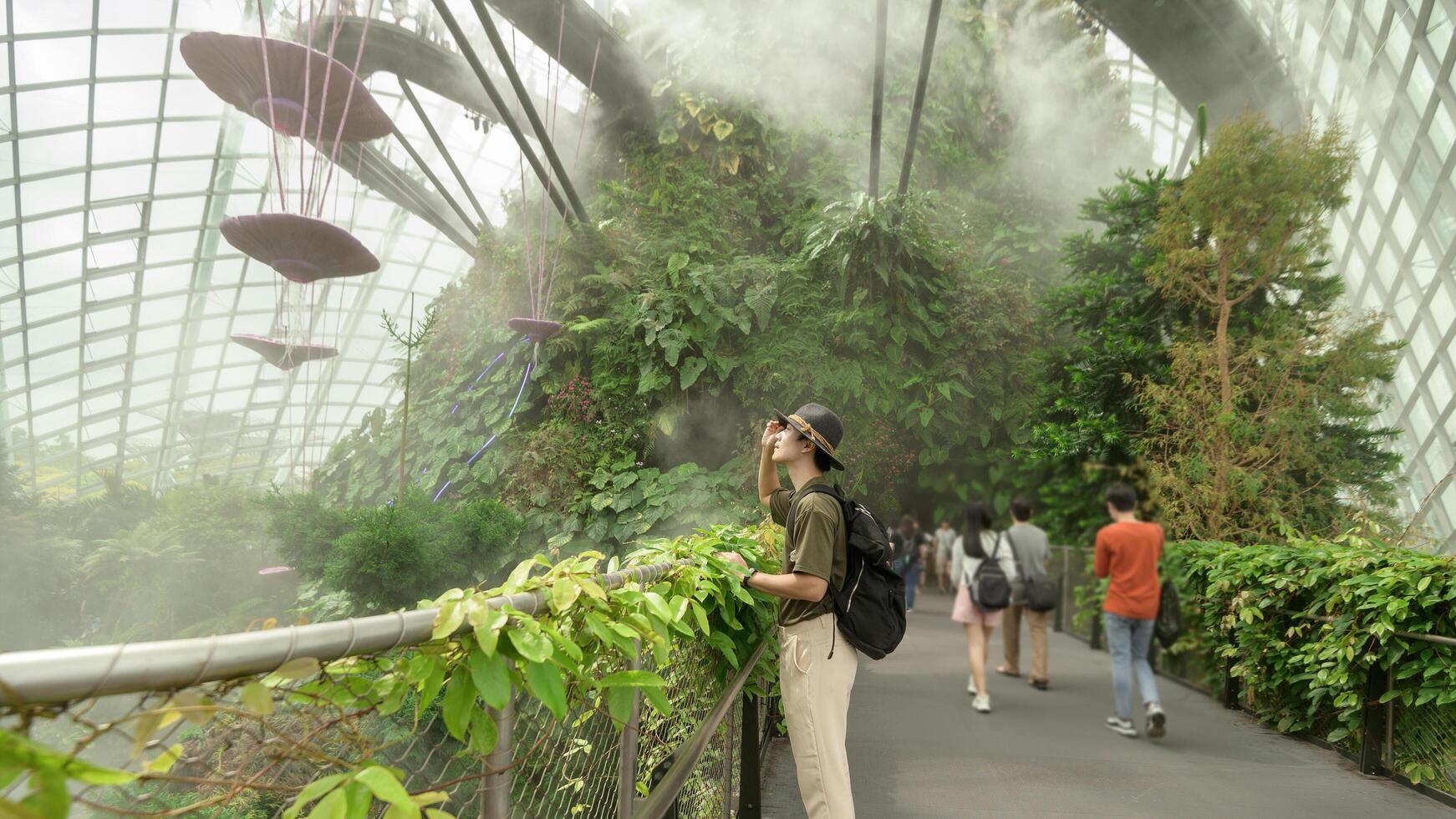 une homme dans nuage forêt dôme environnement à jardins dans Singapour photo