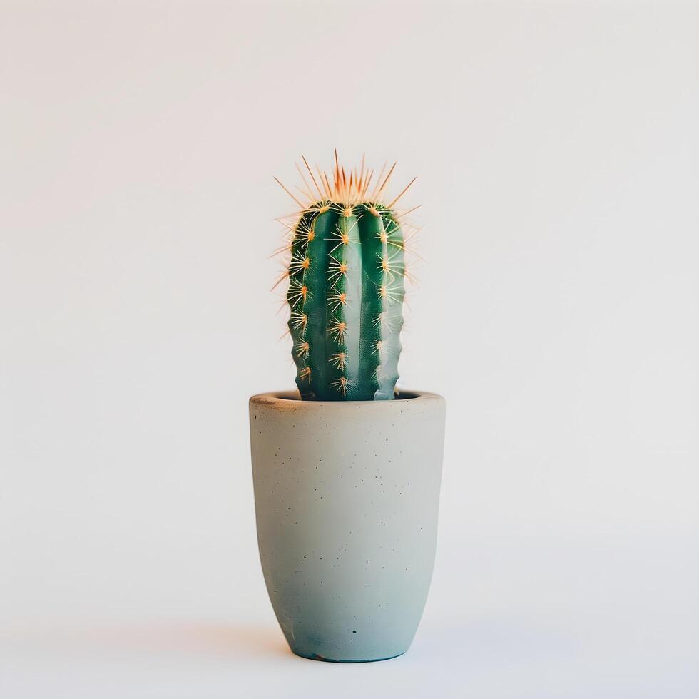 ai généré cactus dans une minimaliste plante d'appartement pot photo