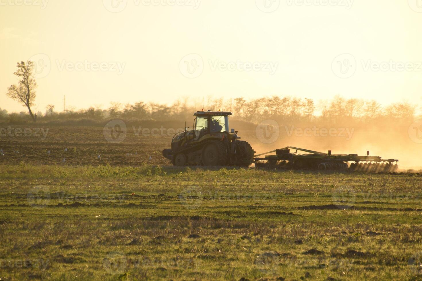 tracteur à le coucher du soleil charrue charrue une champ. labourer le sol dans le tomber après récolte. le fin de le saison photo