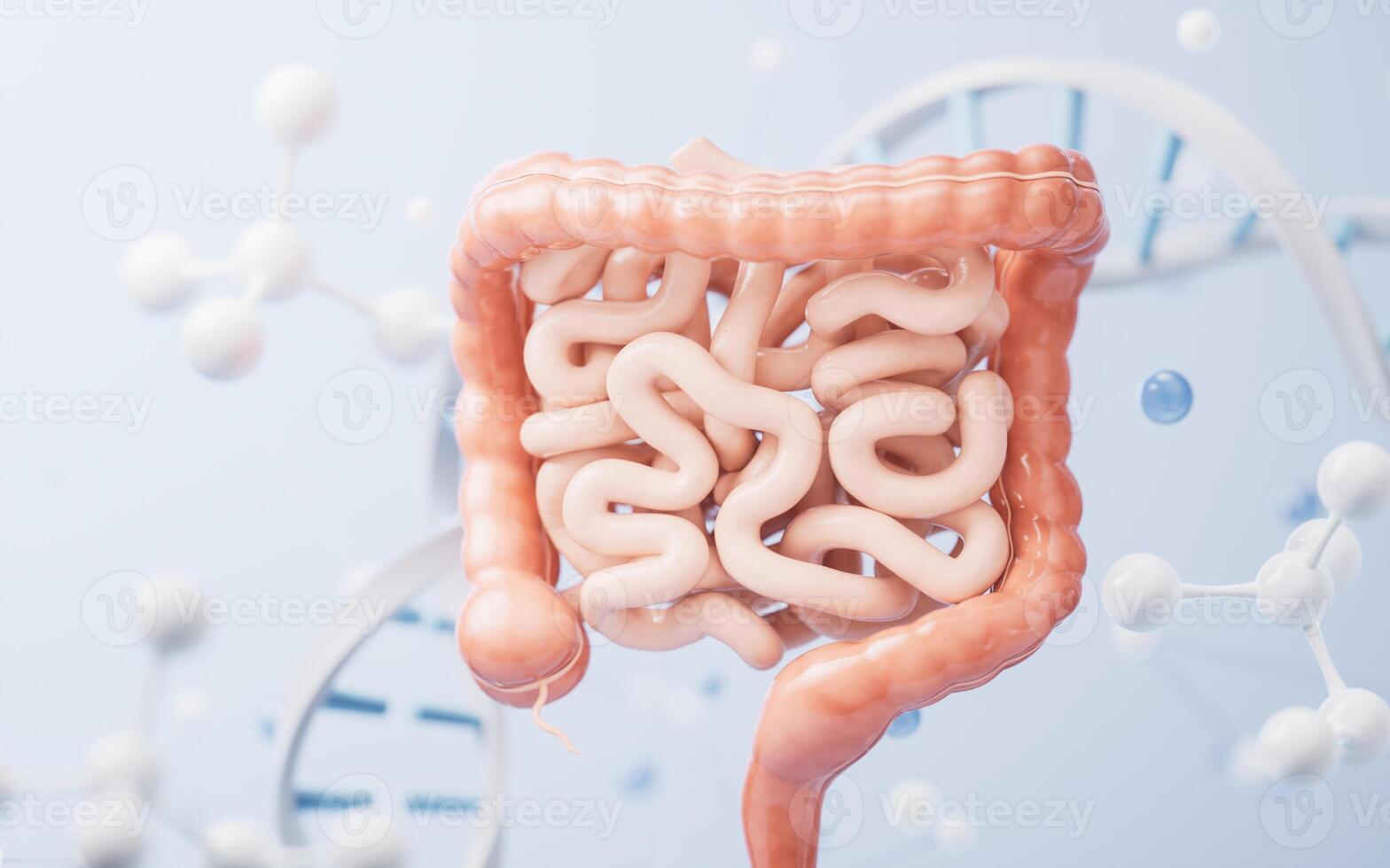 intestinal tract avec digestif santé concept, 3d le rendu. photo