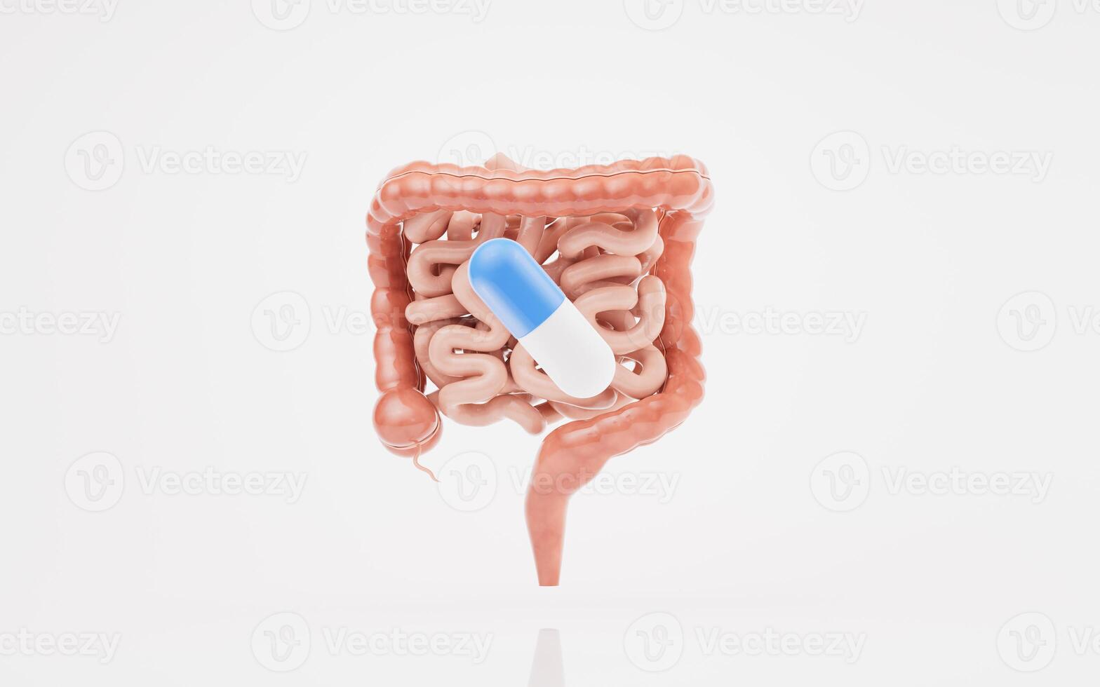 intestinal tract avec digestif santé concept, 3d le rendu. photo