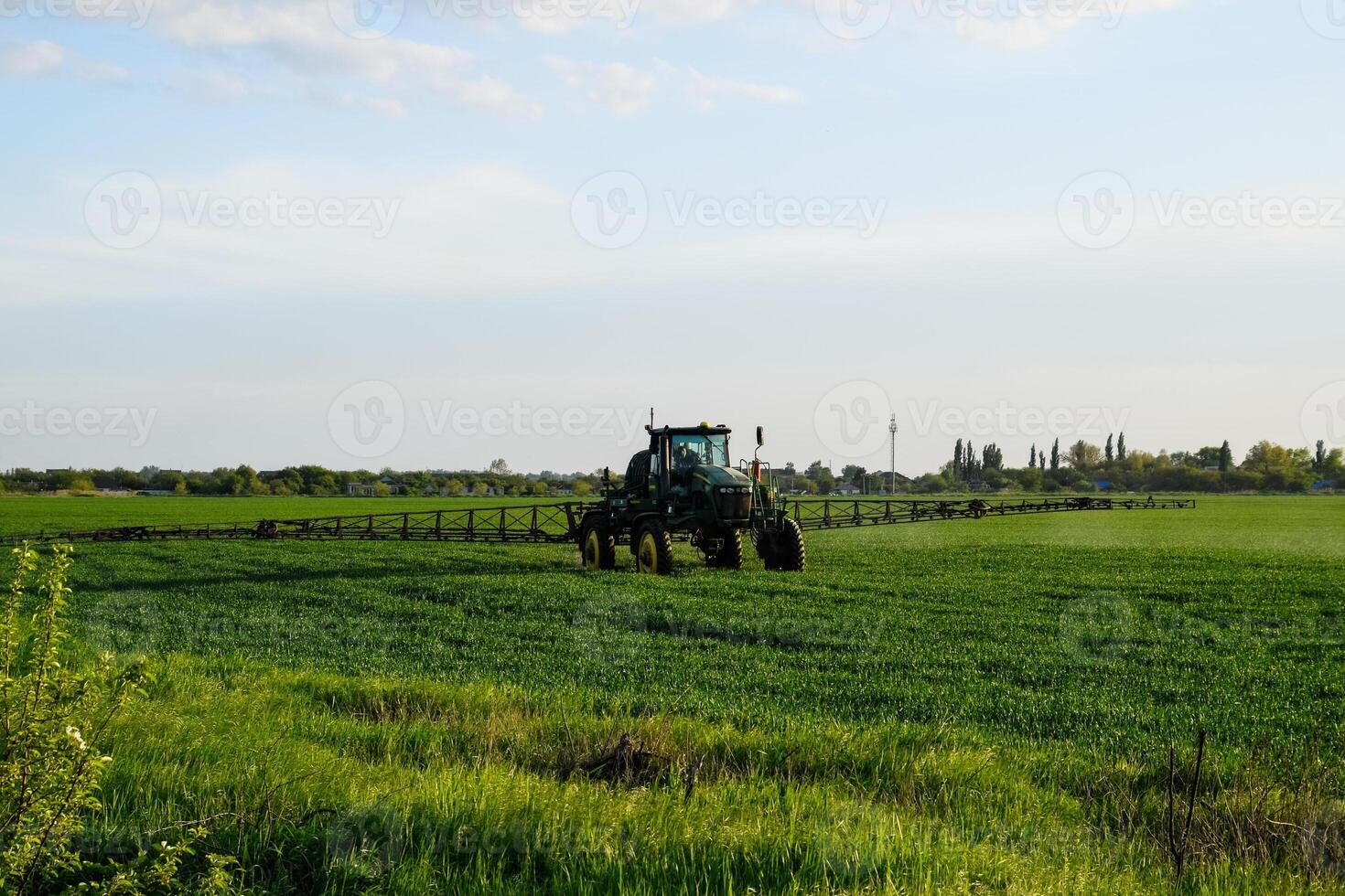 tracteur avec le Aidez-moi de une pulvérisateur Vaporisateurs liquide les engrais sur Jeune blé dans le champ. photo