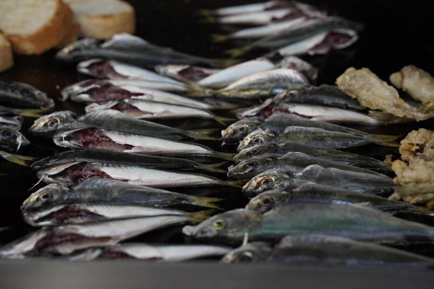 anadolu kavagi Frais poisson restaurant le bosphore croisière dinde photo