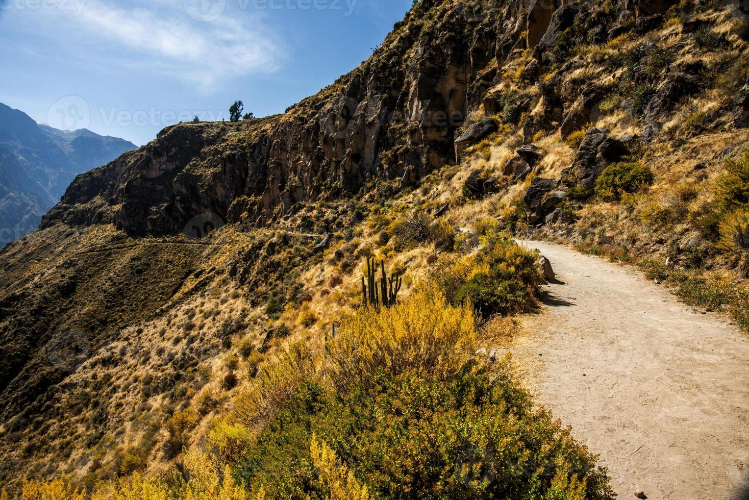 2023 8 16 Pérou canyon del colca 17 photo