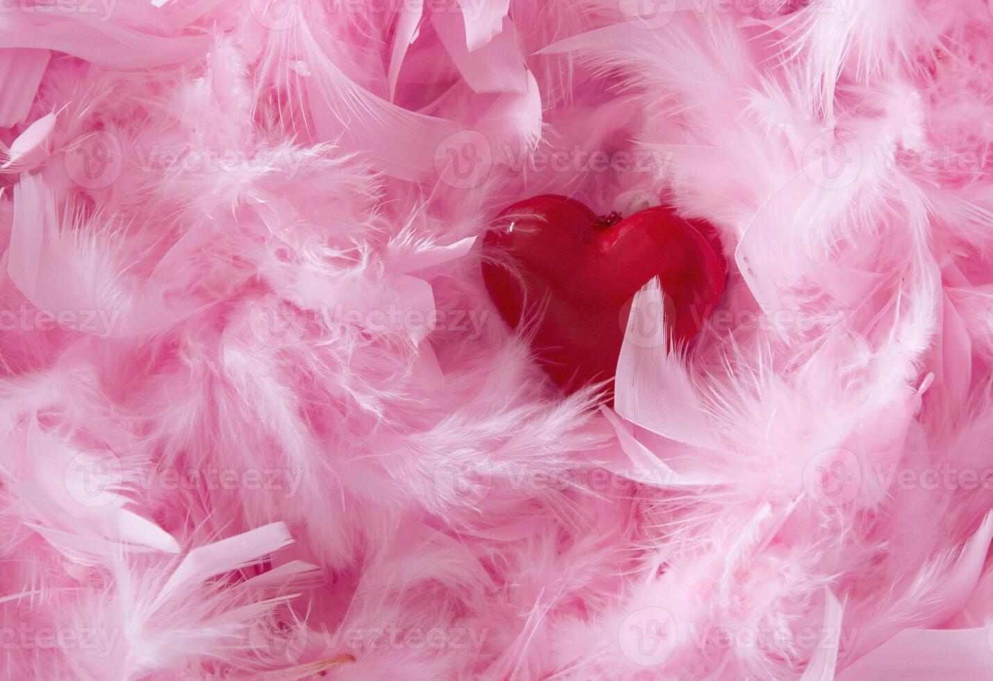 le rouge jouet cœur mensonges sur le surface avec rose duveteux plumes Naturel délicat photo