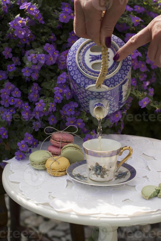 Extérieur pique-nique avec une tasse de à base de plantes thé et macaron Gâteaux, une femme main verse photo