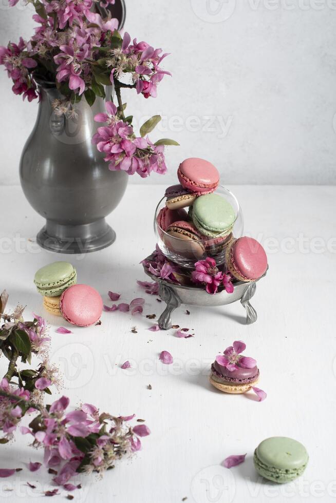 printemps encore la vie avec coloré macarons et rose Pomme arbre fleurs dans une étain photo