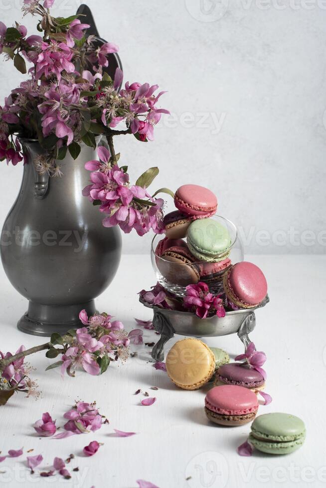 printemps encore la vie avec coloré macarons et rose Pomme arbre fleurs dans une étain photo