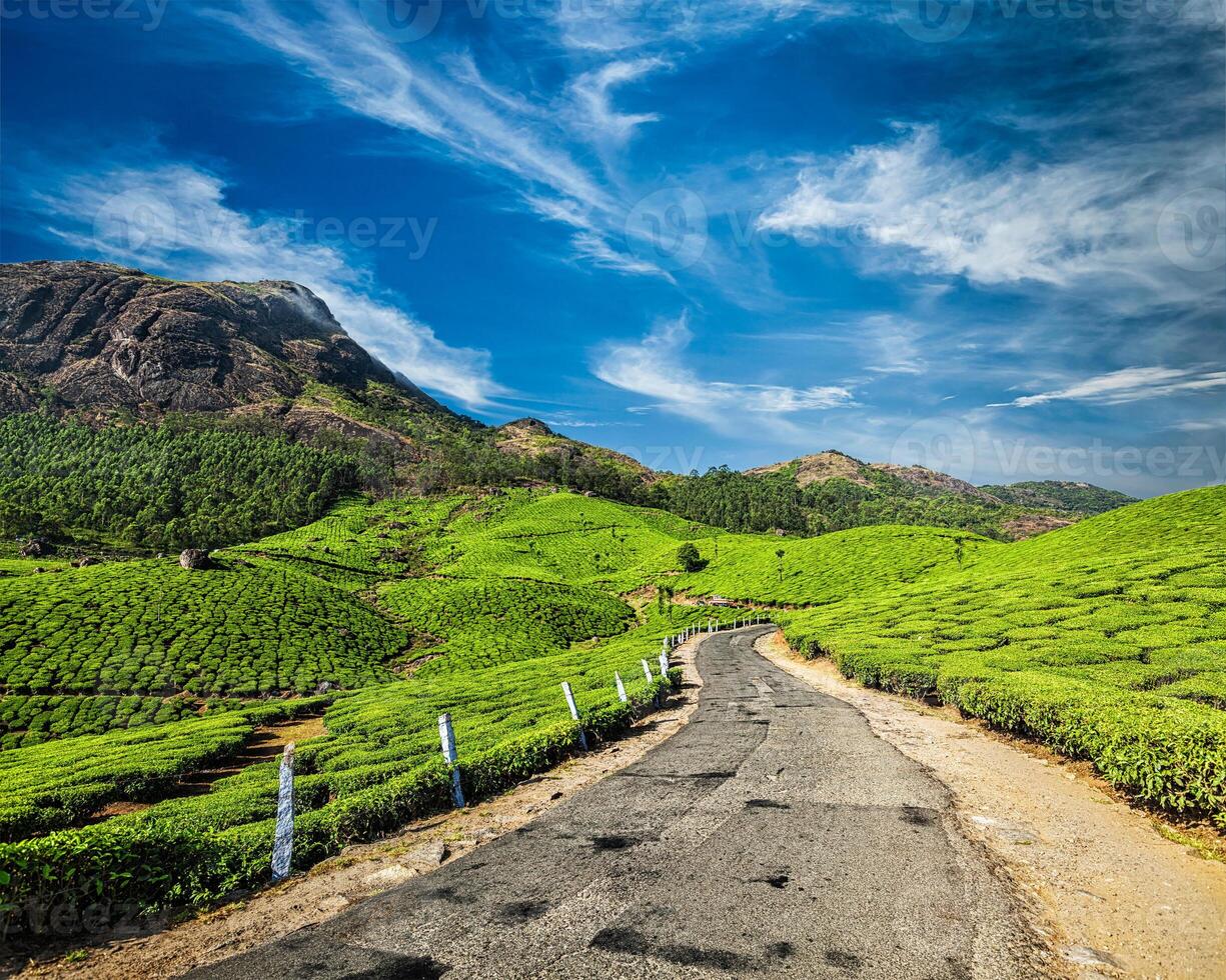 route dans thé plantations, Inde photo