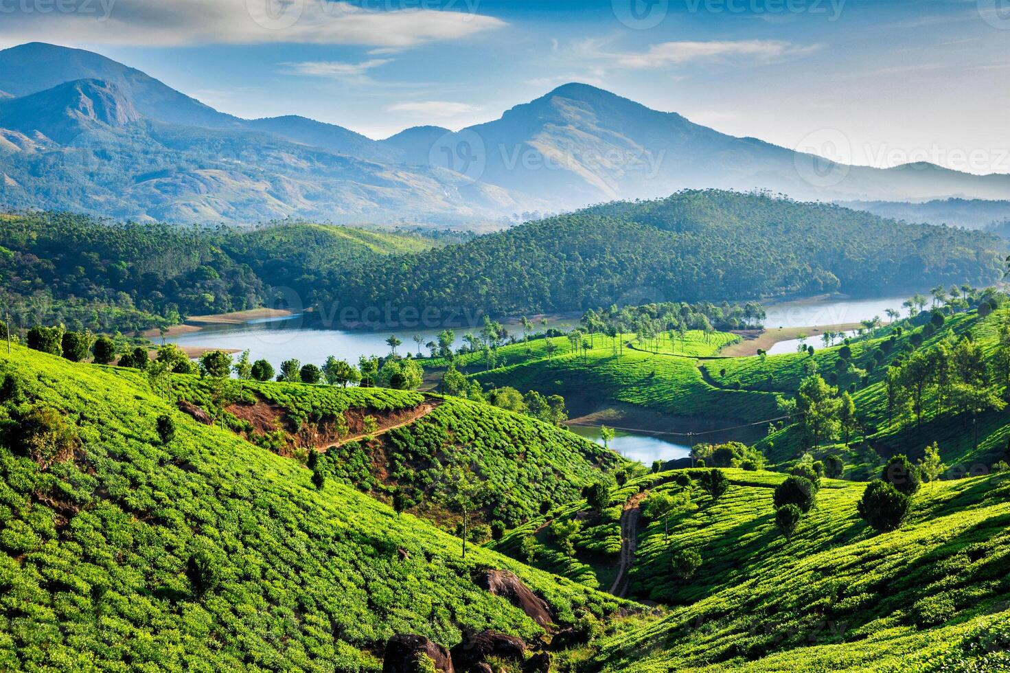 thé plantations et rivière dans collines. Kerala, Inde photo