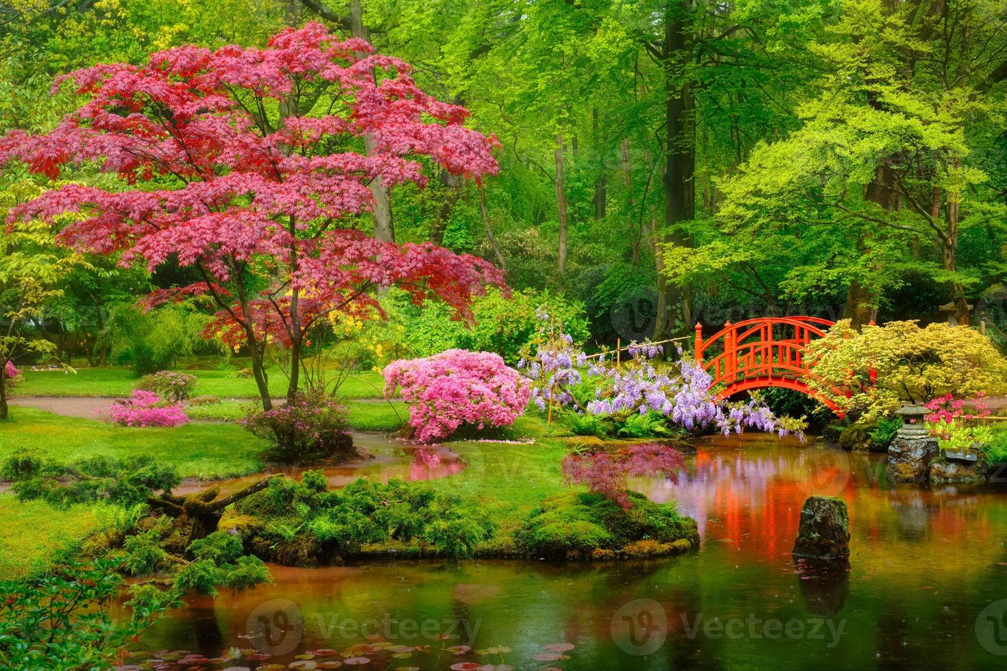 Japonais jardin, parc clinendael, le La Haye, Pays-Bas photo