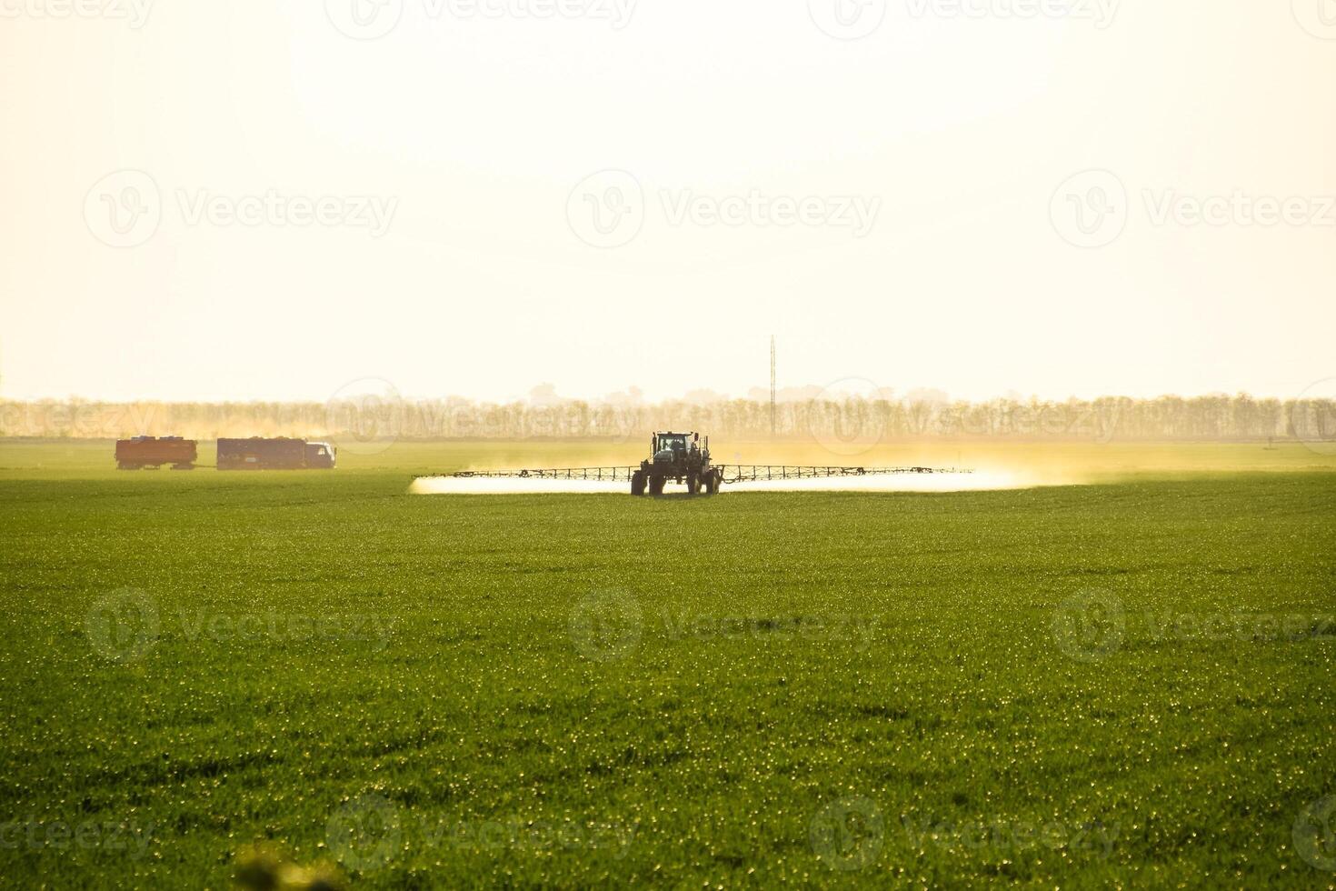 tracteur avec le Aidez-moi de une pulvérisateur Vaporisateurs liquide les engrais sur Jeune blé dans le champ. photo