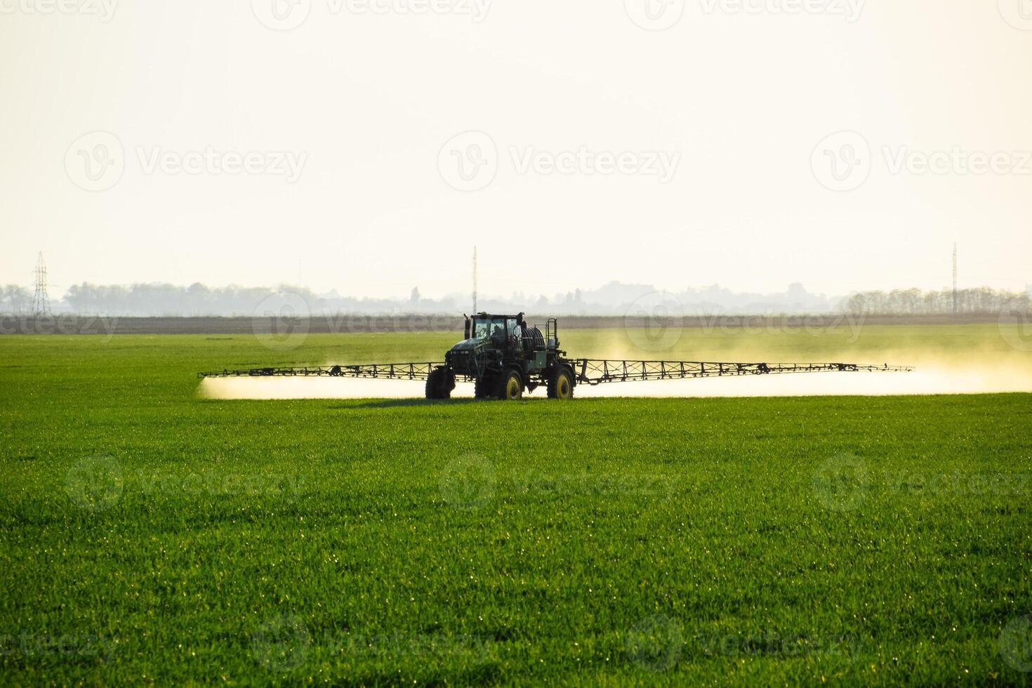 tracteur avec le Aidez-moi de une pulvérisateur Vaporisateurs liquide les engrais sur Jeune blé dans le champ. photo