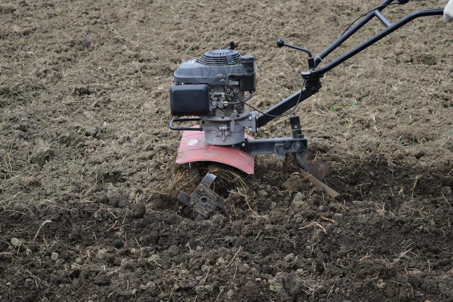 plantation patates en dessous de le à pied tracteur photo