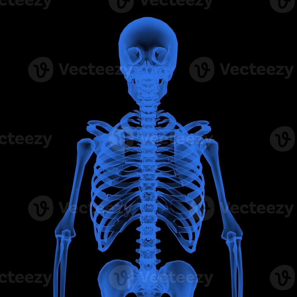 radiographie vision, de le Humain corps et os. photo