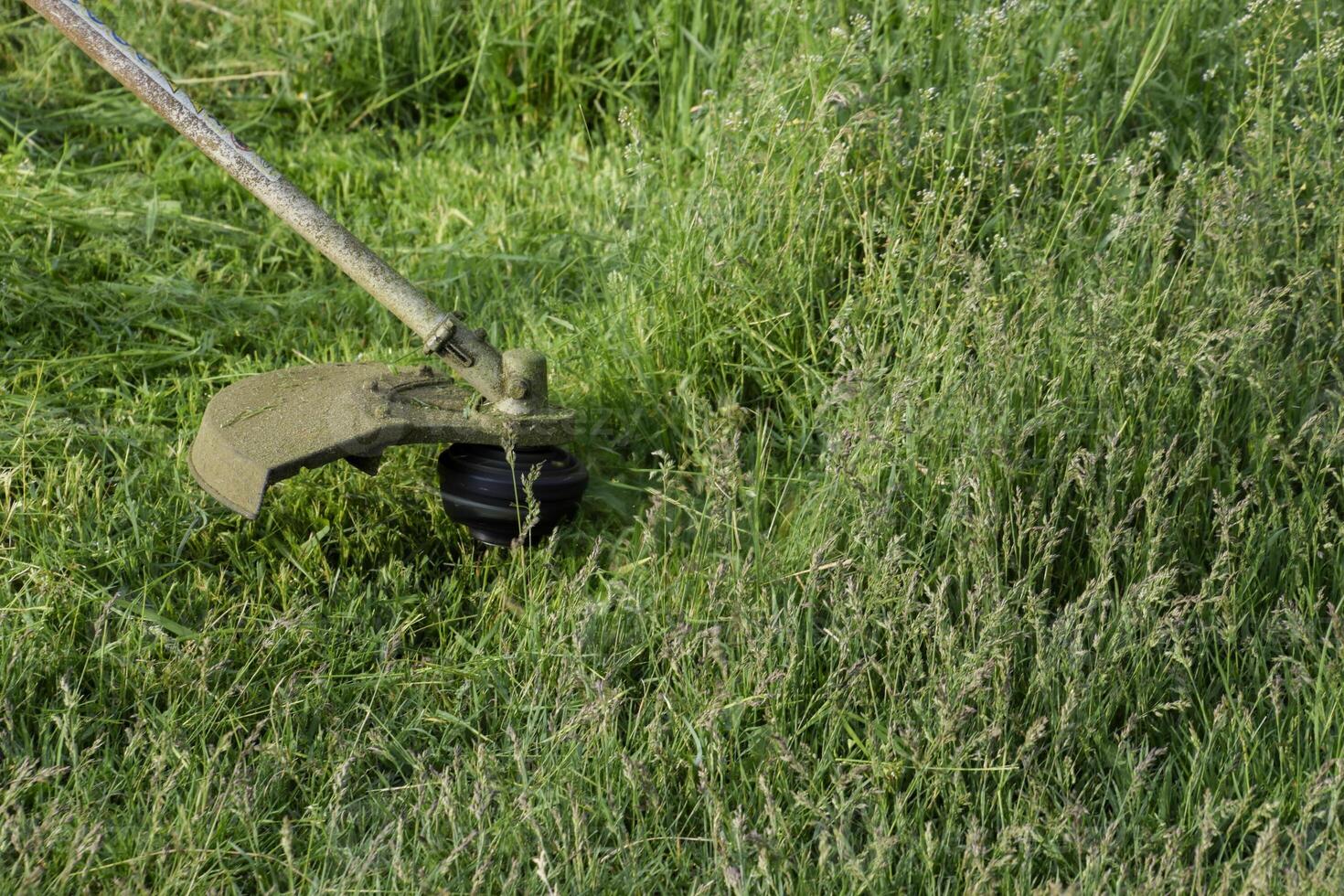 application tondeuses. fauchage vert herbe en utilisant une pêche ligne tondeuse photo