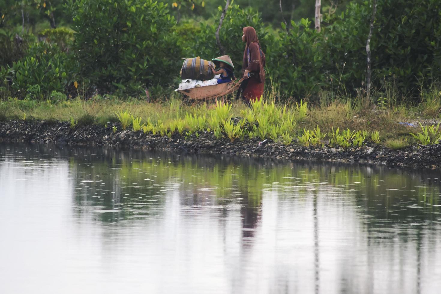 sorong, indonésie, 2021- marcher dans la forêt de mangrove photo