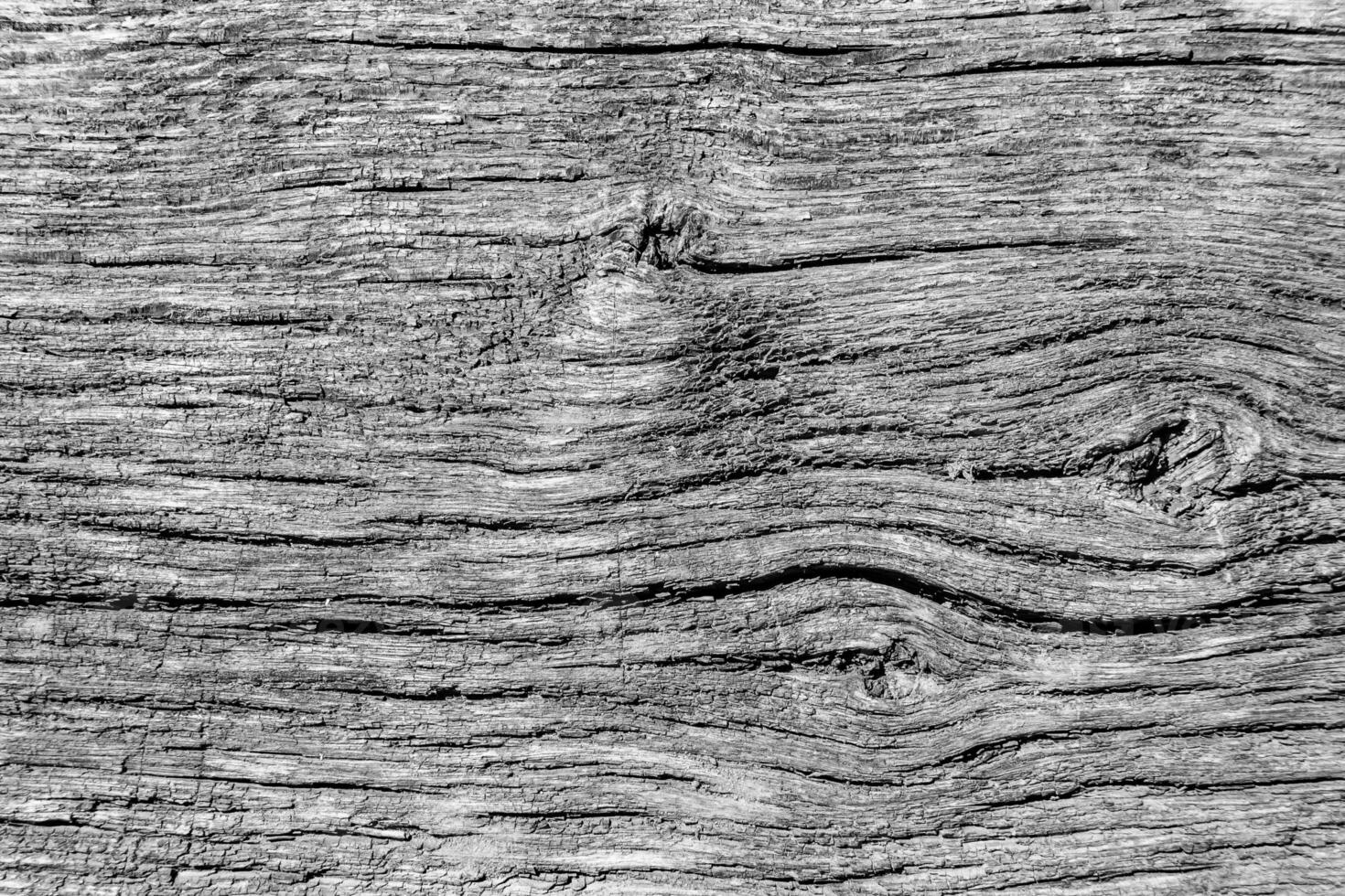 belle fracture en bois vieux chêne, texture naturelle en gros plan photo