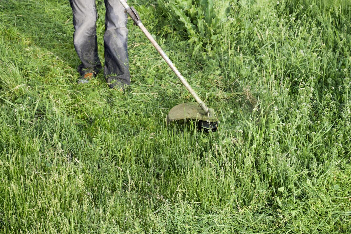 application tondeuses. fauchage vert herbe en utilisant une pêche ligne tondeuse photo