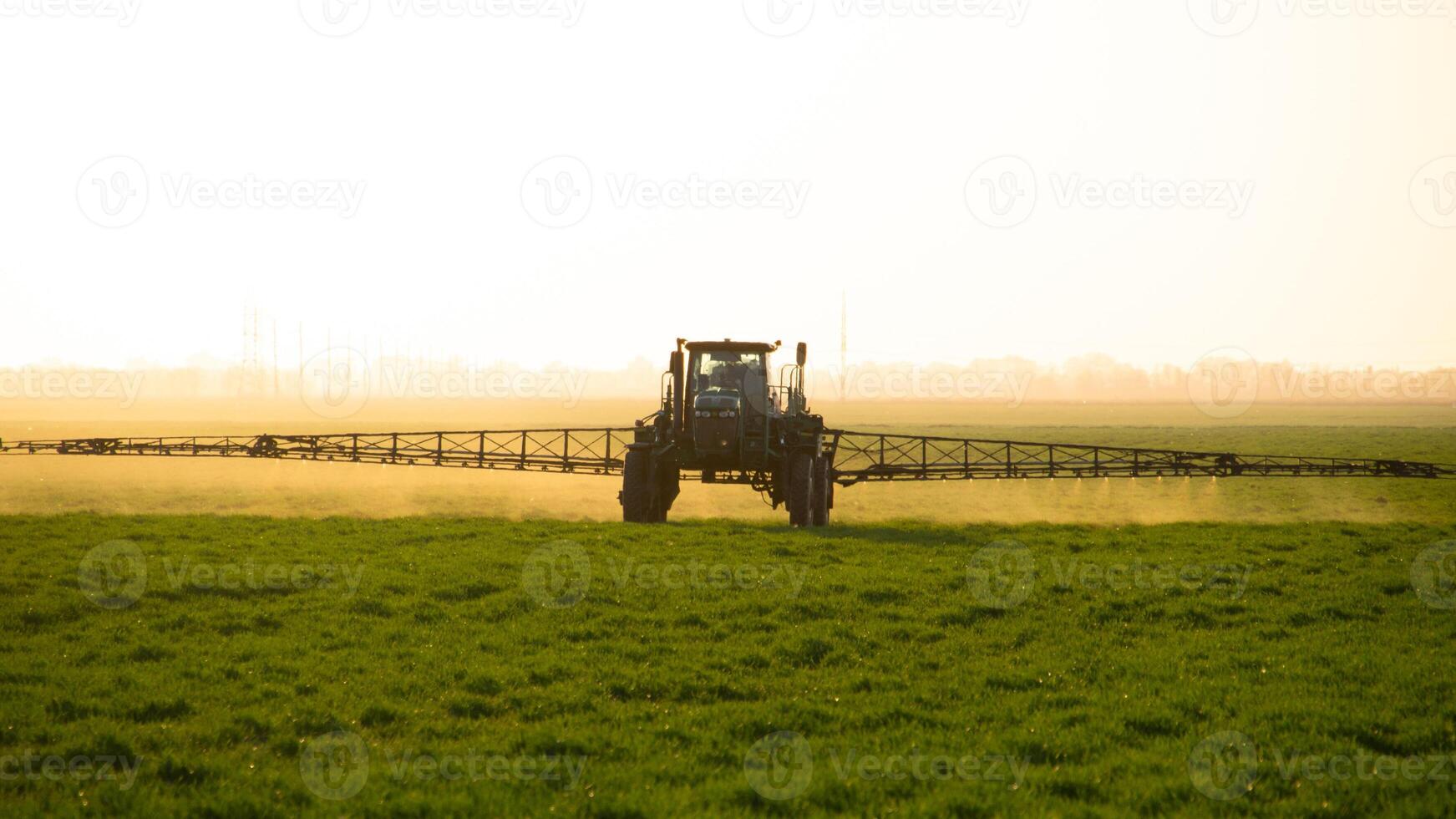 tracteur sur le le coucher du soleil Contexte. tracteur avec haute roues est fabrication engrais sur Jeune blé. photo