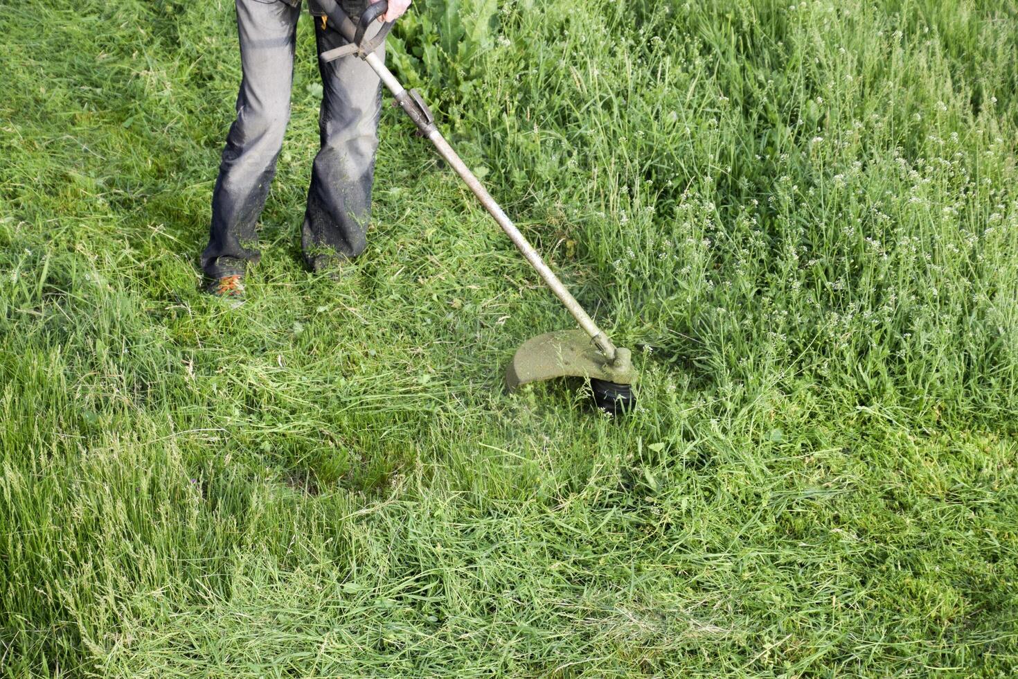 application tondeuses. fauchage vert herbe en utilisant une pêche ligne tondeuse photo