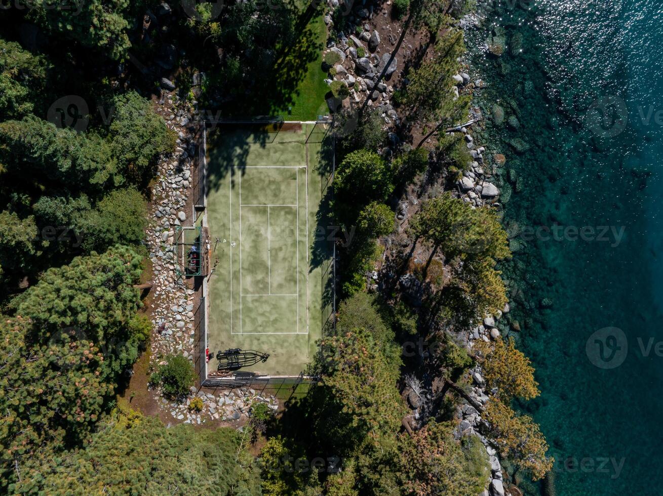 une des oiseaux œil vue de une tennis tribunal entouré parforêt. photo