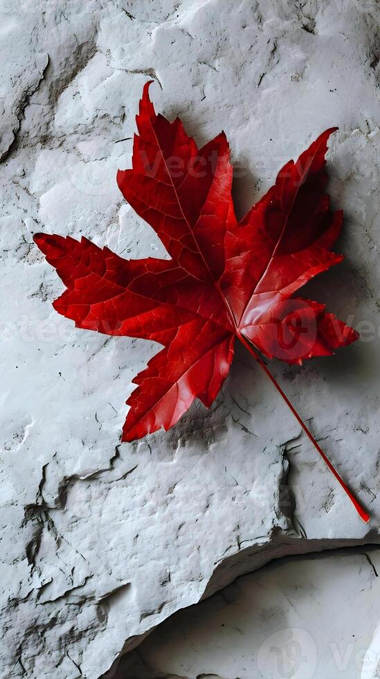 ai généré une rouge feuille pose sur Haut de une Roche photo