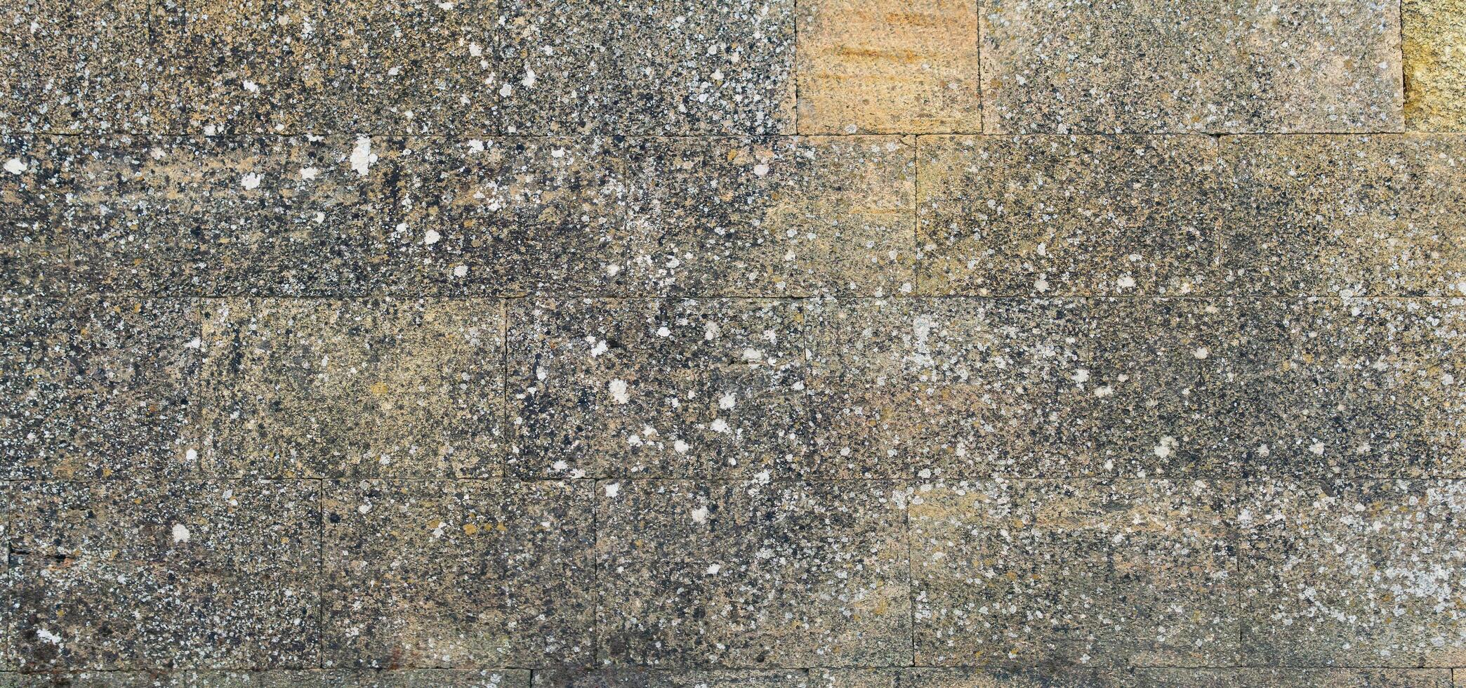 arrière-plan, texture - une mur de même pierre blocs, couvert avec lichen de vieux âge photo