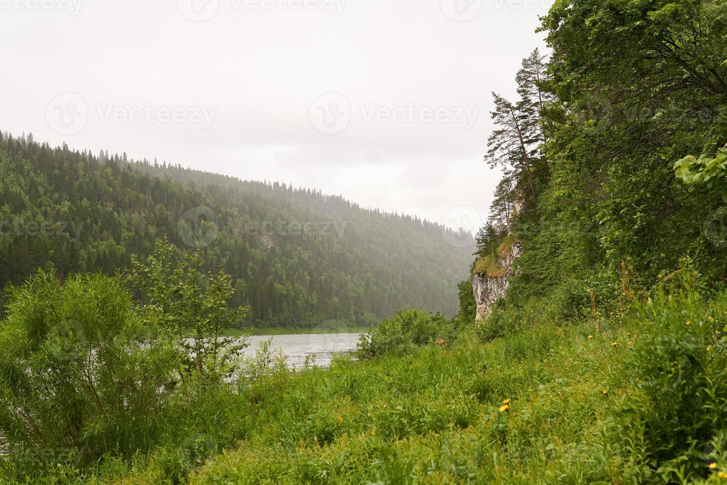 boisé rivière vallée avec rocheux rivages dans pluvieux été temps photo