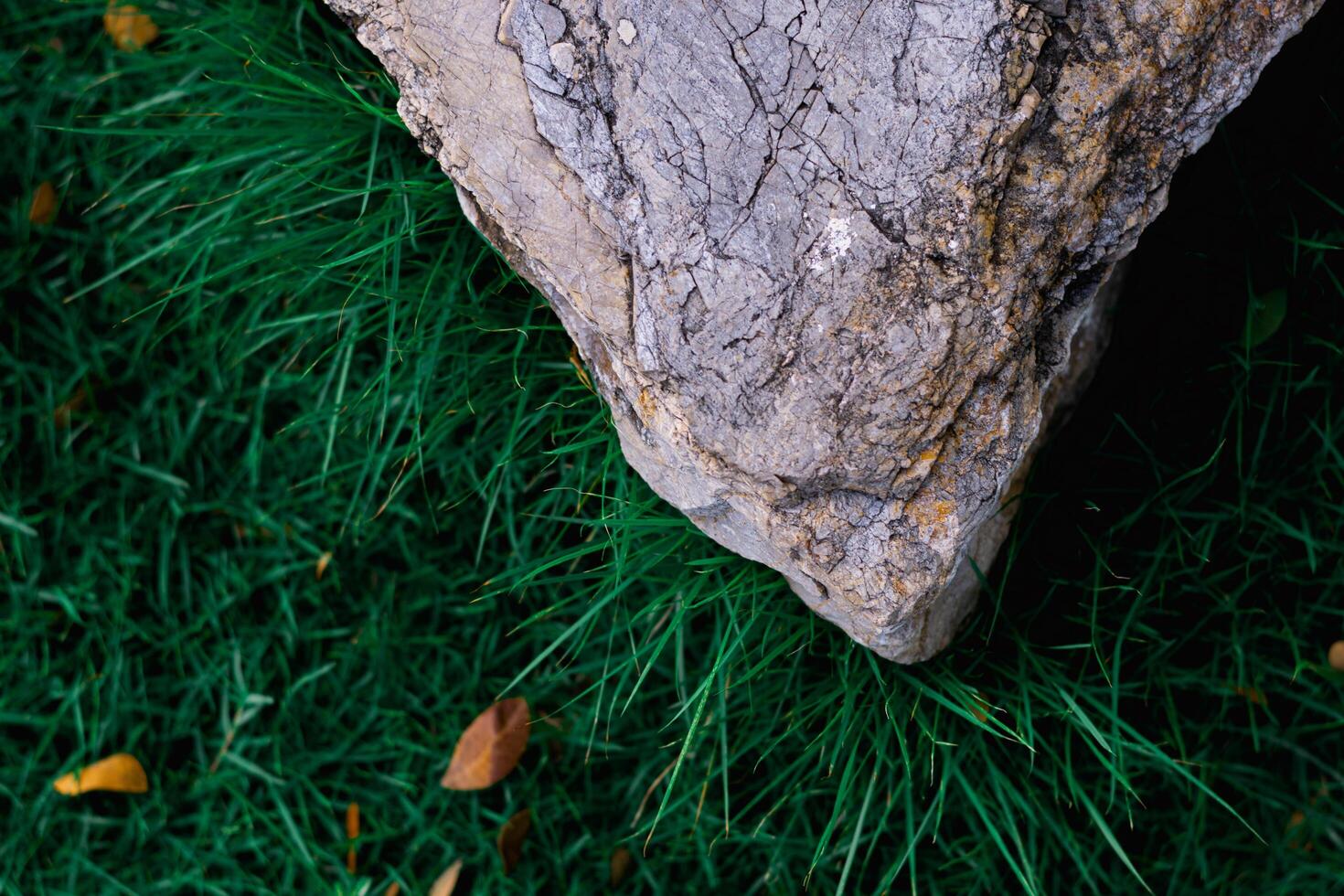 Roche et vert herbe pouvez ajouter une toucher de Naturel beauté à tout Extérieur espace ou Accueil jardin. photo