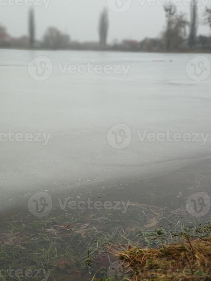 congelé herbe sur une hiver journée sur le rive de une Lac en dessous de la glace photo