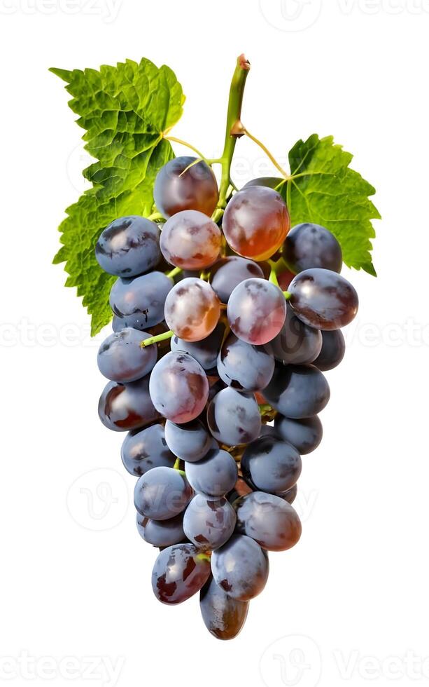 ai généré mûr les raisins avec feuilles isolé sur blanc Contexte photo
