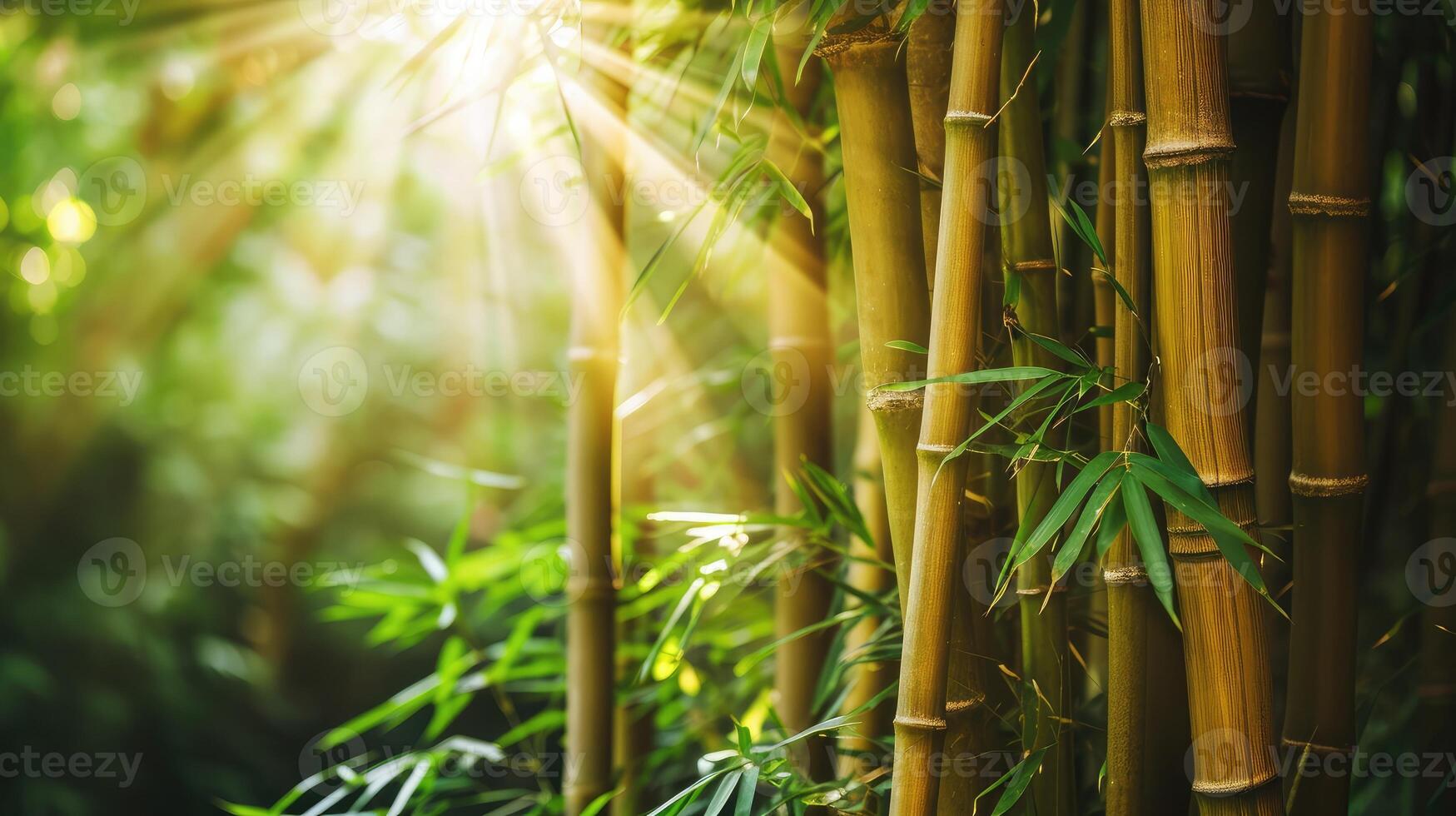 ai généré beaucoup bambou tiges et lumière faisceau photo