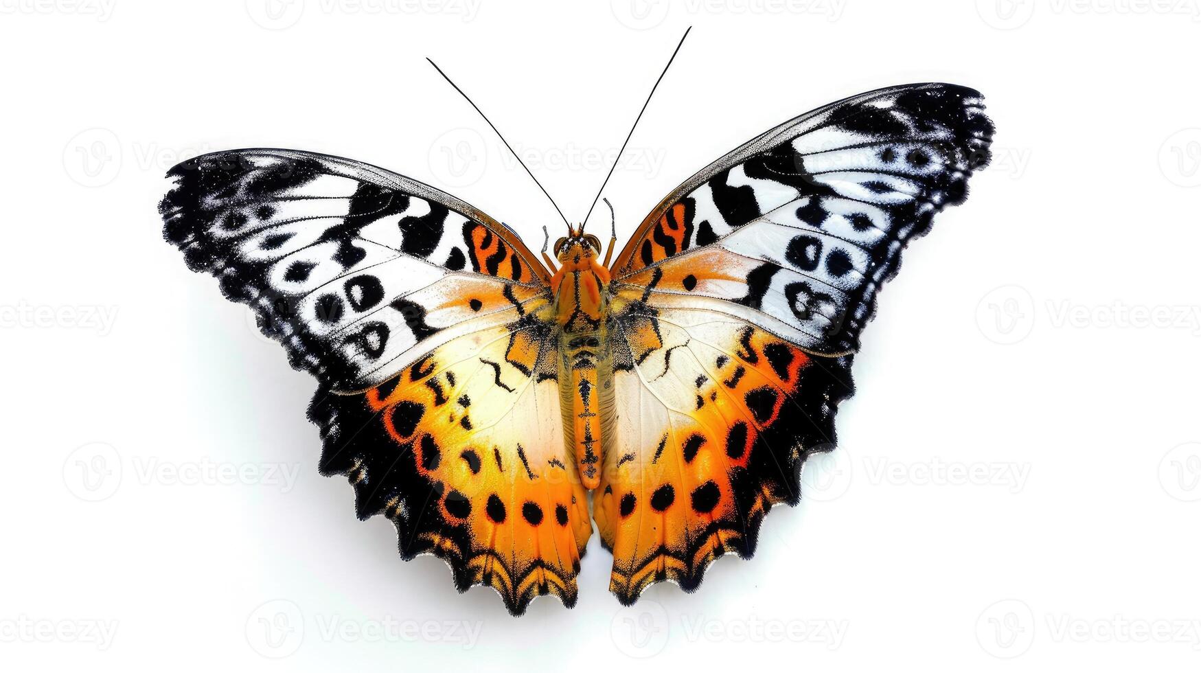 ai généré magnifique papillon, malais chrysope, léopard lacewing papillon isolé sur blanc Contexte. photo