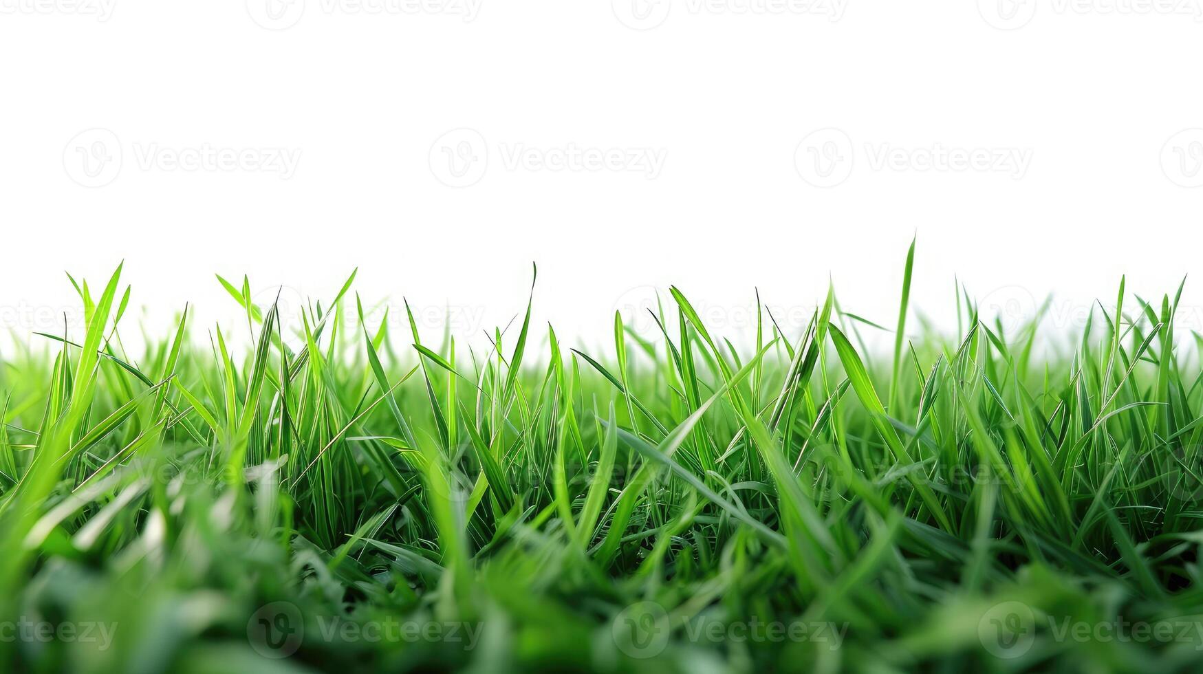 ai généré vert herbe champ isolé sur blanc Contexte photo