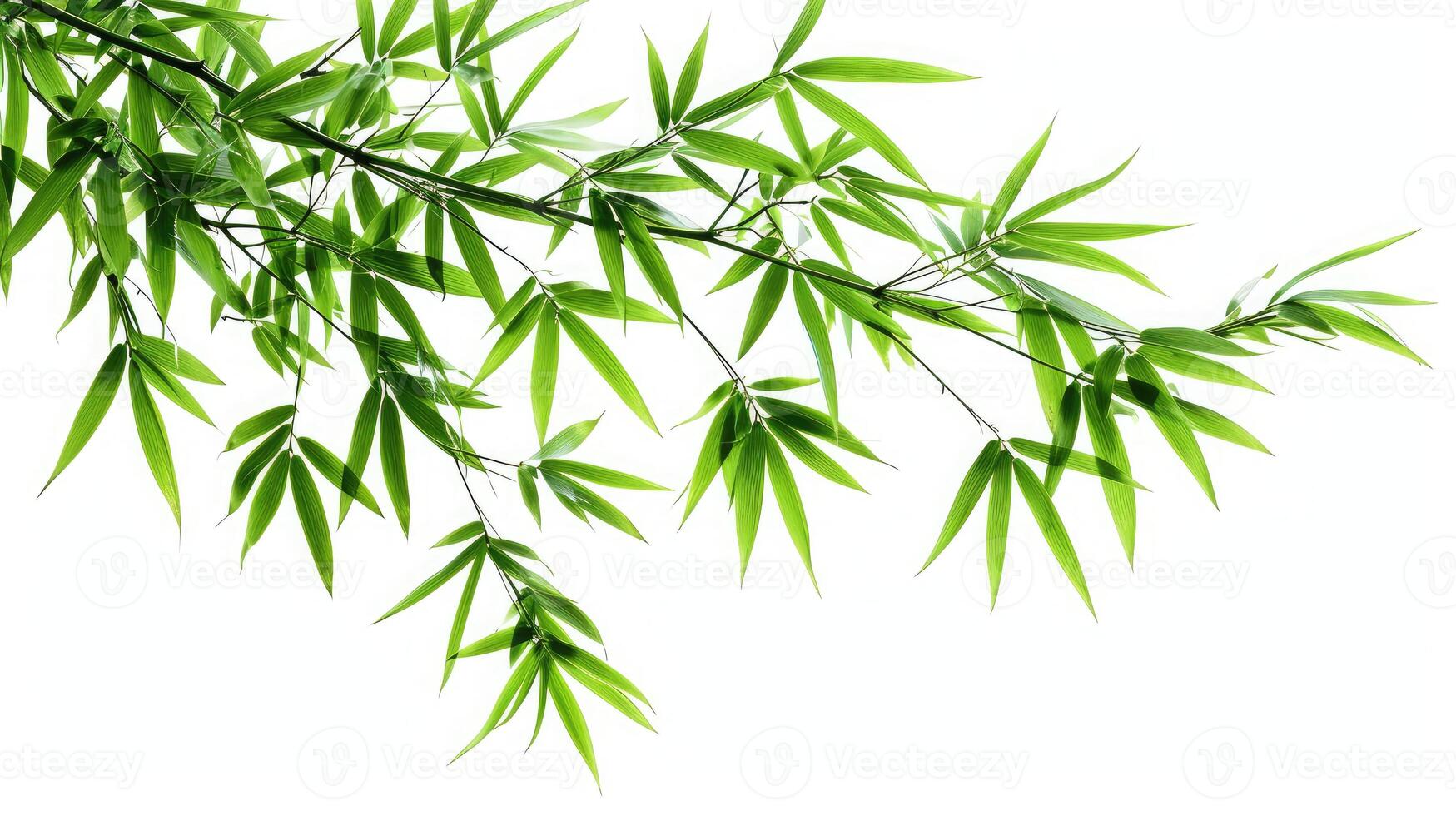 ai généré bambou arbre branche isolé sur blanc Contexte photo