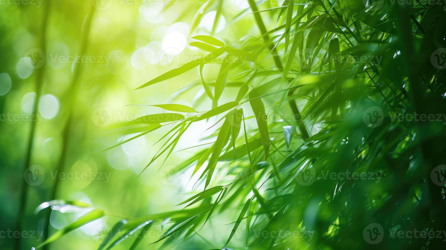 ai généré bambou forêt et vert Prairie herbe avec Naturel lumière dans brouiller style. bambous vert feuilles et bambou arbre avec bokeh dans la nature forêt. la nature modèle vue photo