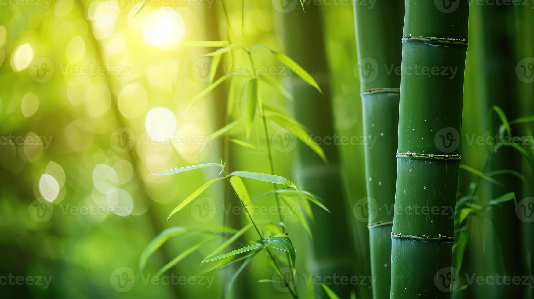 ai généré flou images de bambou forêt bambou Contexte photo