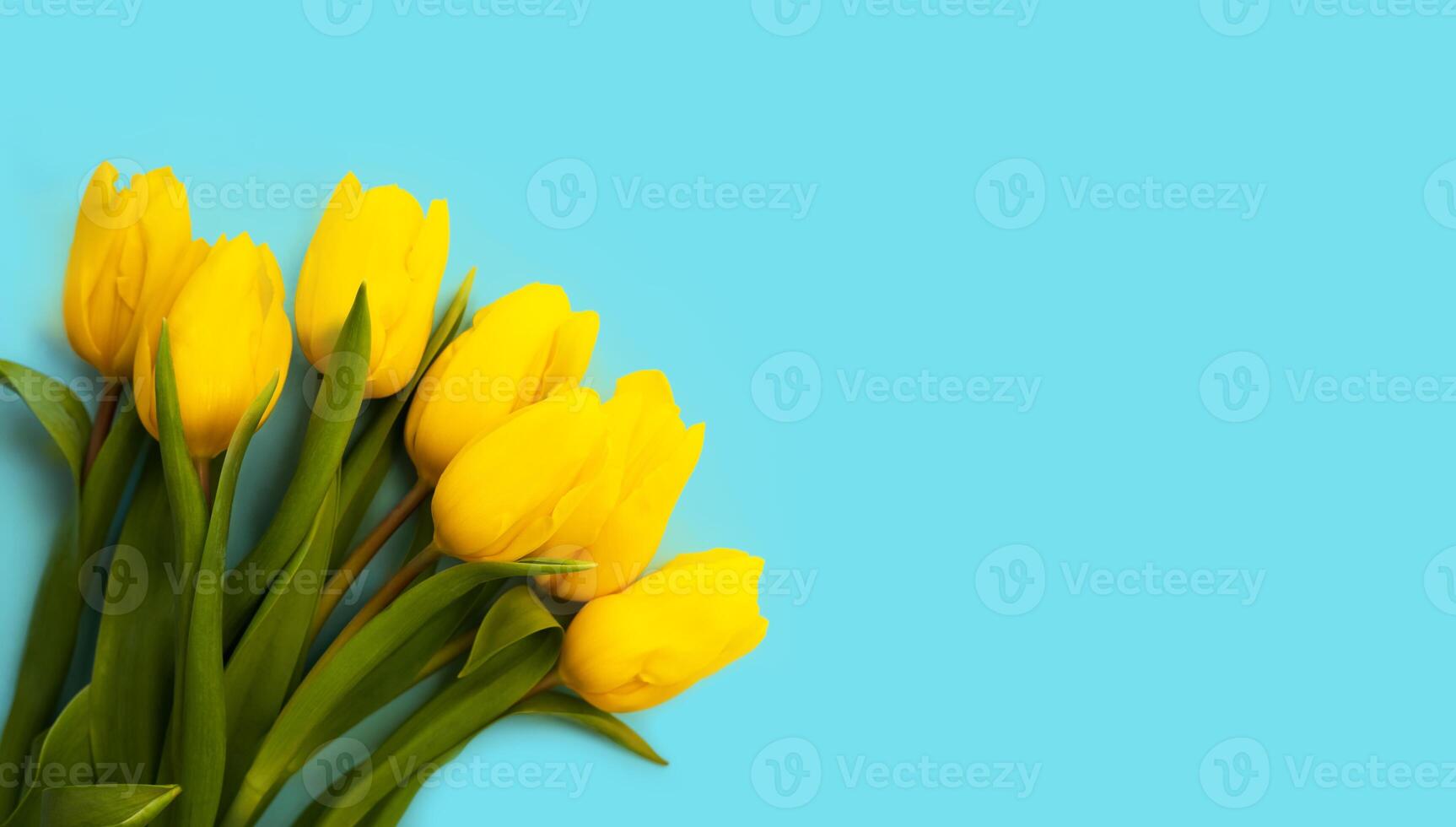 bannière. bouquet de magnifique Jaune tulipes sur une bleu Contexte. les mères jour, Mars 8, la Saint-Valentin jour, anniversaire fête concept. Haut voir. endroit fr texte. photo