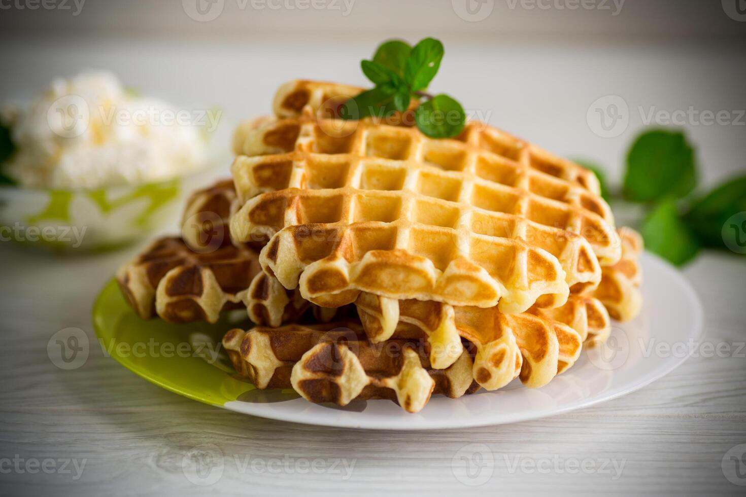 sucré chalet fromage gaufrettes avec une brin de menthe dans une assiette photo