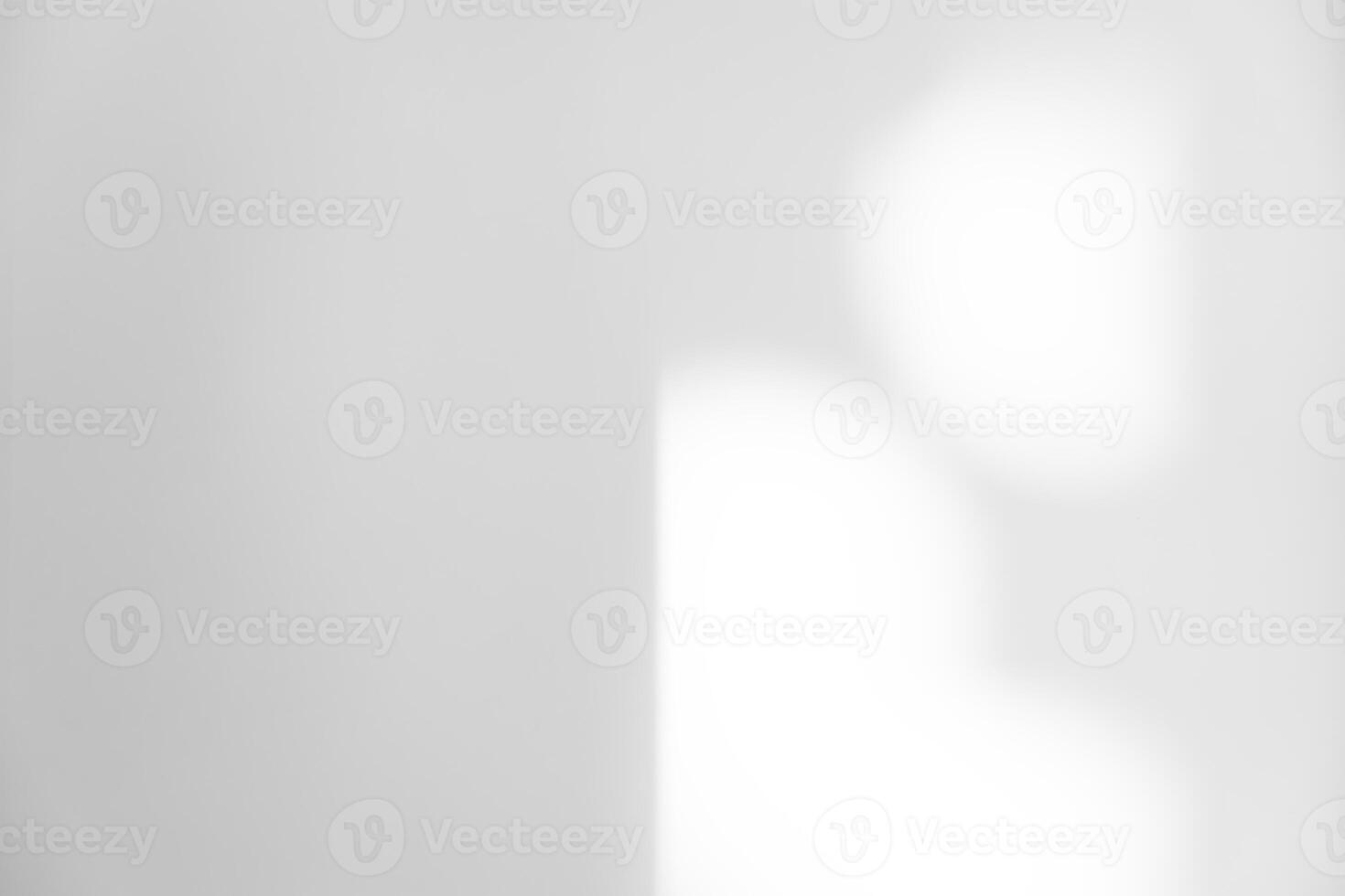 Contexte blanc mur studio avec ombre feuilles, lumière sur lisse surface texture, vide blanc Plastique pièce avec lumière du soleil réflexion sur mur, toile de fond pour cosmétique produit présent photo
