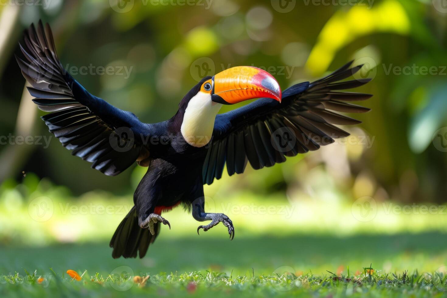 ai généré une en volant coloré toucan terres sur le pelouse photo