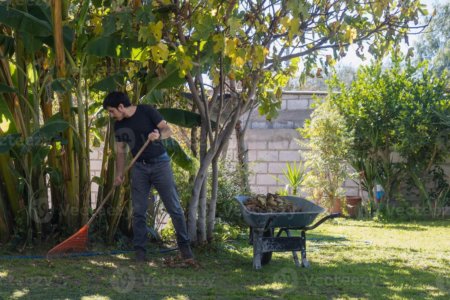 homme balayage jardin pelouse dans élégant Accueil photo