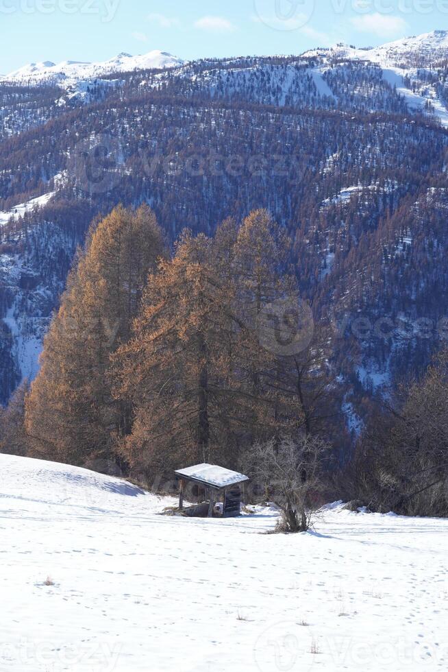 paysage d'hiver dans les montagnes photo