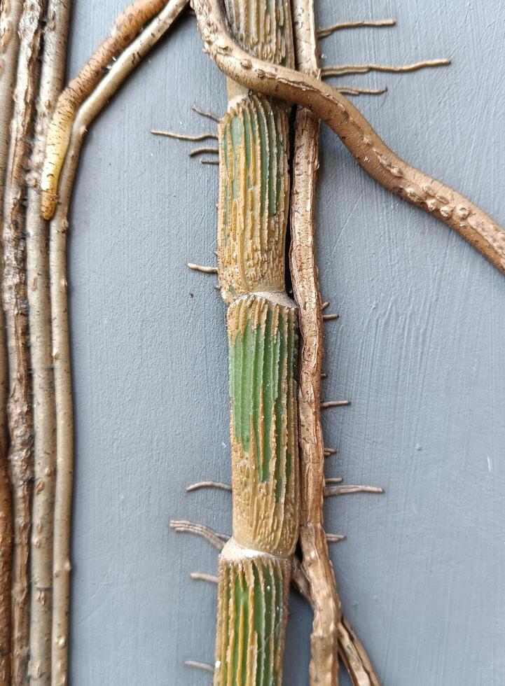 une plante sur le mur. verticale fleur photo