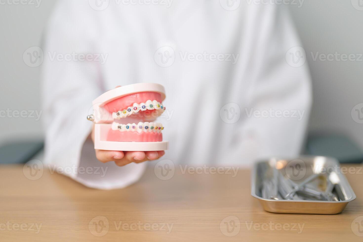 dentiste avec orthodontique dent modèle et support ou entretoise. nettoyer et rayer de tartre. mai orthodontique santé jour, Mars oral santé, dentiste jour, faux dents. mal aux dents et les enfants dentaire santé photo