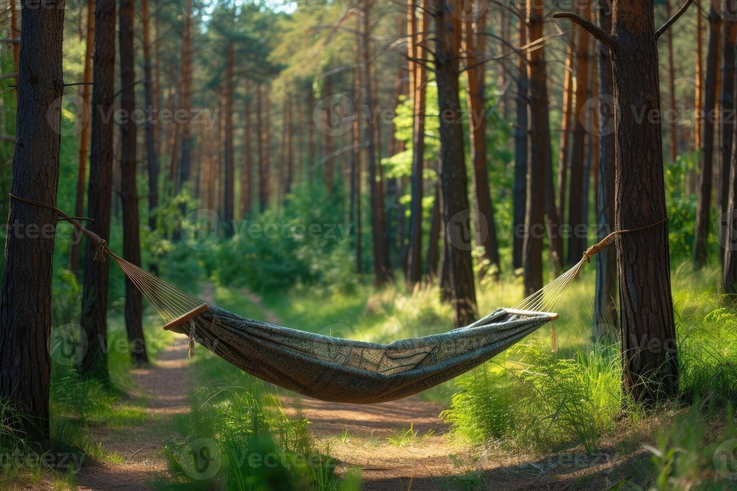 ai généré avoir commencé avec camping hamac professionnel la photographie photo